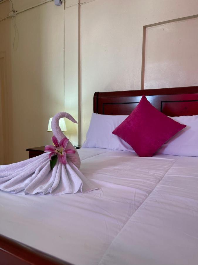 Vbermor Hotel 聖多明哥 外观 照片
