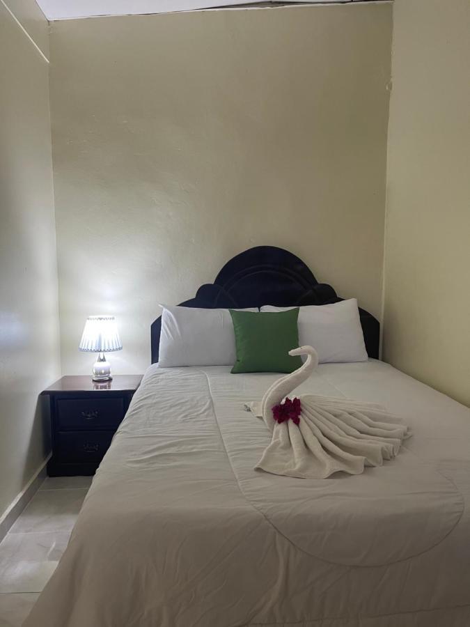 Vbermor Hotel 聖多明哥 外观 照片